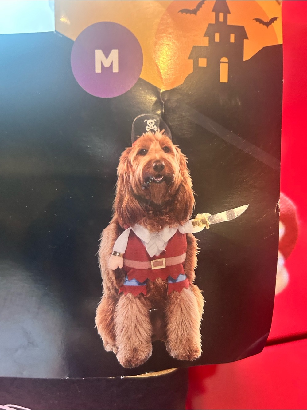 Vibrant Red Pirate Dog Costume with Black Hat